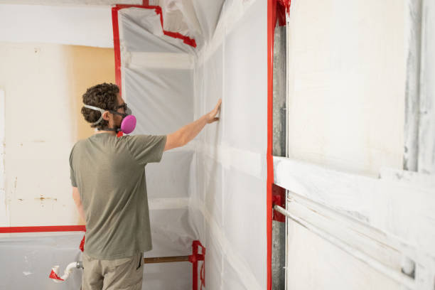 Best Mold-Related Health Consultation  in Union, NJ