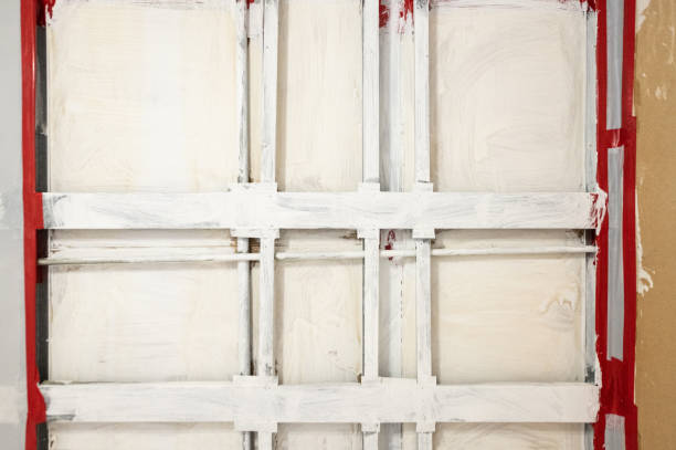 Trusted Union, NJ Mold Removal Experts