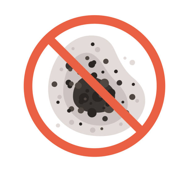 Best Mold Removal for HVAC Installations  in Union, NJ