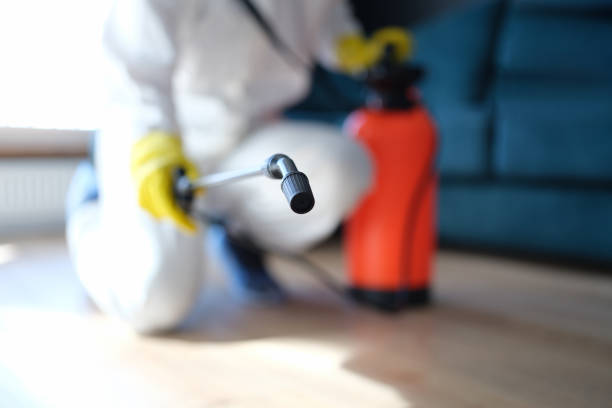 Best Mold Prevention Services  in Union, NJ