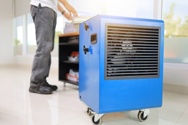 Best Basement Mold Removal  in Union, NJ