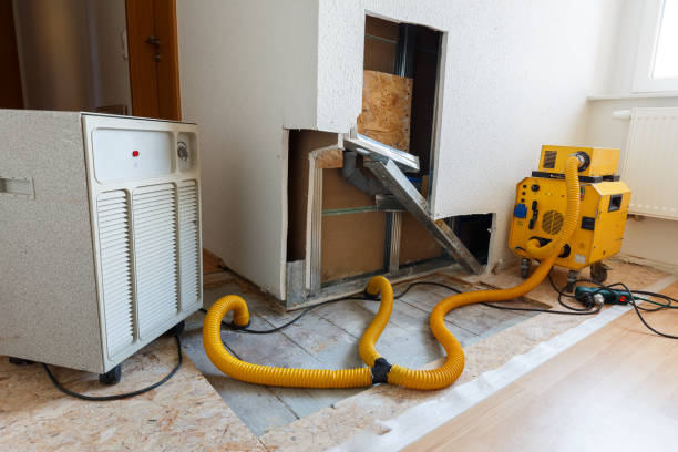 Best Dehumidification Services  in Union, NJ