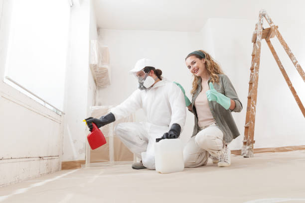  Union, NJ Mold Removal Pros