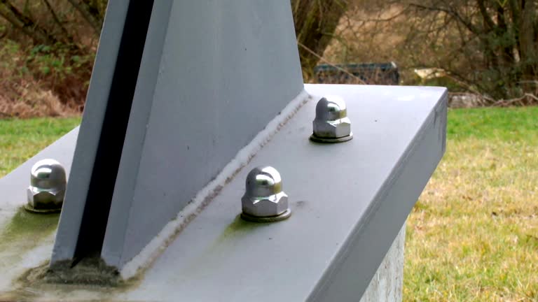 Best Attic Mold Removal  in Union, NJ