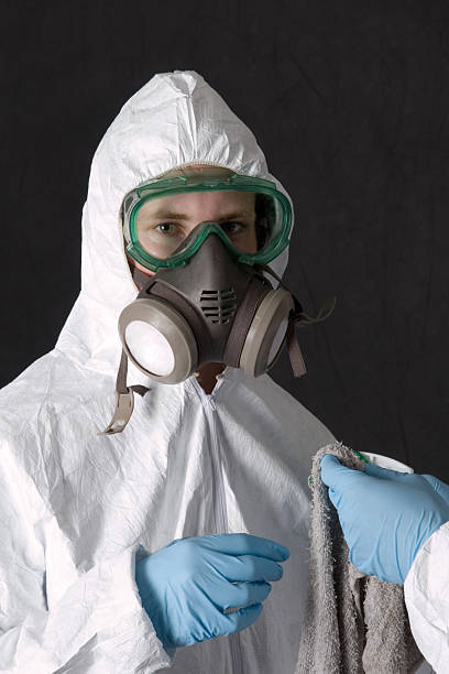 Best Residential Mold Inspection & Testing  in Union, NJ